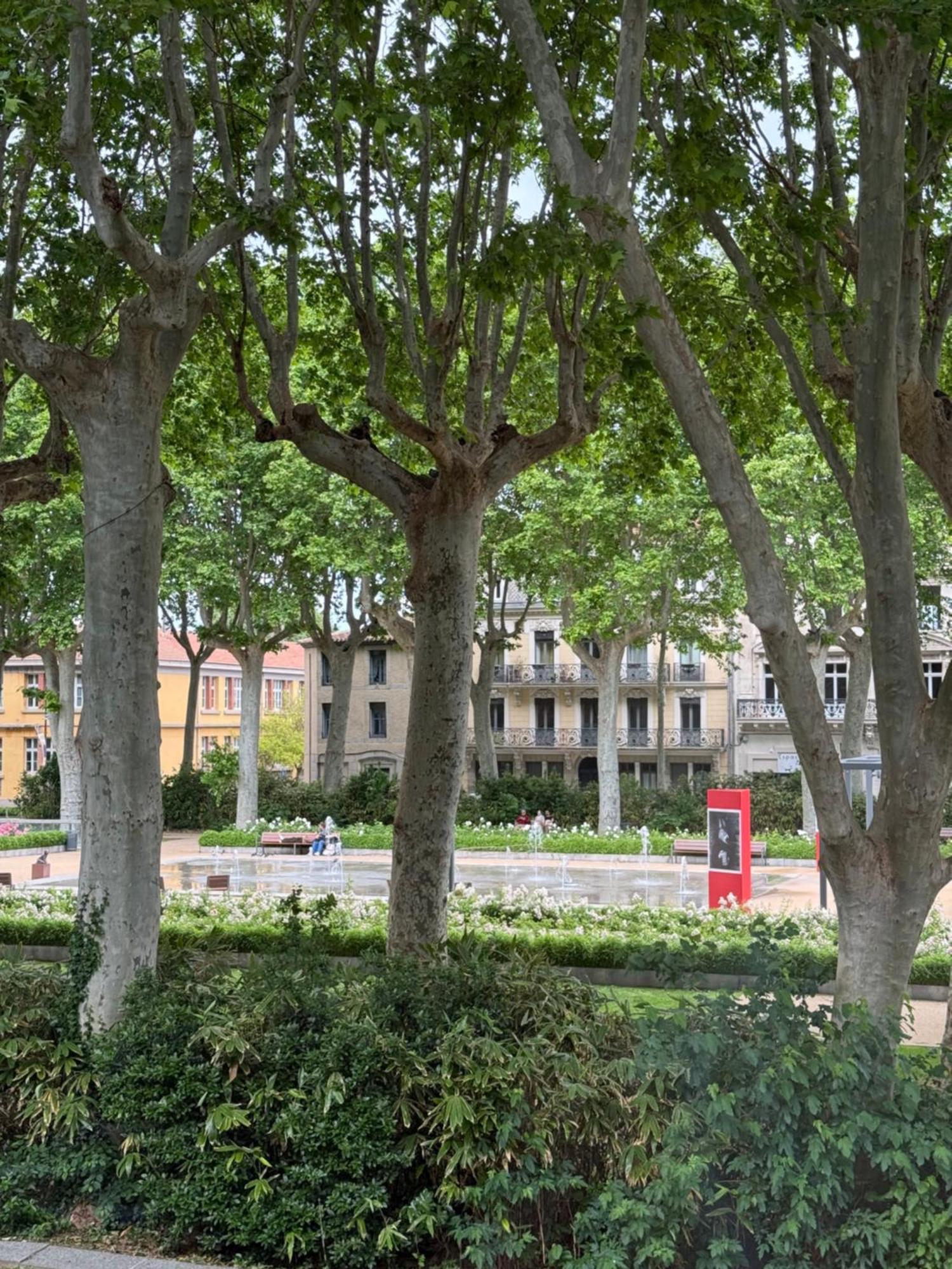 Le Carre Gambetta Carcassonne